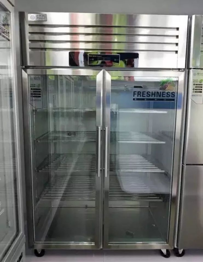 Dubbele van de het glasdeur van de deur grote capaciteit commerciële van de het roestvrije staaladelborst diepvriezer 2