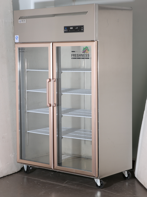 Dubbele van de het glasdeur van de deur grote capaciteit commerciële van de het roestvrije staaladelborst diepvriezer 0