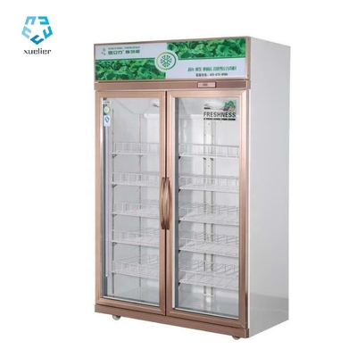 Double Door Upright Glass Door Display Freezer 2 To 8 Degree