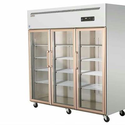 3 Door Commercial 220V Stainless Steel Freezers