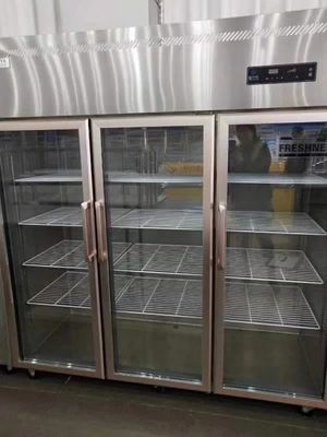 3 Doors Upright Stainless Steel Freezers For Restaurant Kitchen