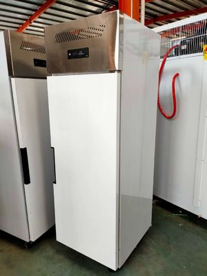 Vegetable Meat Stainless Steel Freezers Single Door 16 Cu Ft