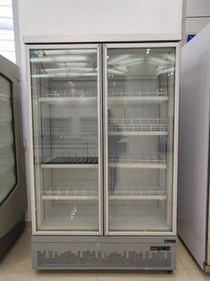 Cheap Double Door Under Unit Vertical Glass Door Freezer Commercial Refrigerator